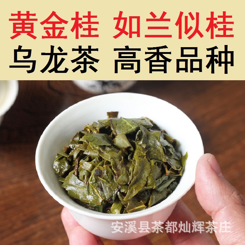 黄金桂主图05.jpg