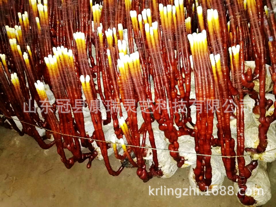 QQ图片20181120132846