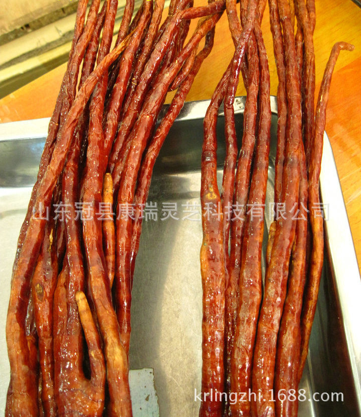 鹿角灵芝11
