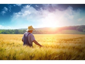 三农究竟指的是什么？三农是指哪三农？