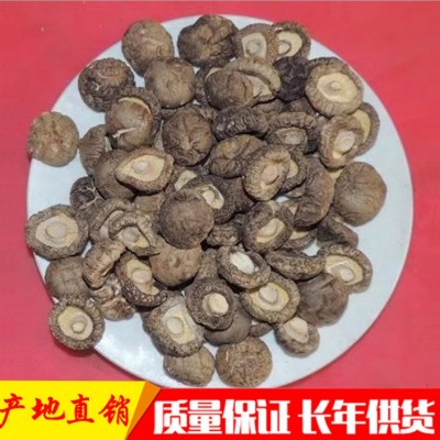 西峡县新货脱水香菇脚香菇丁香菇3-3.5香菇