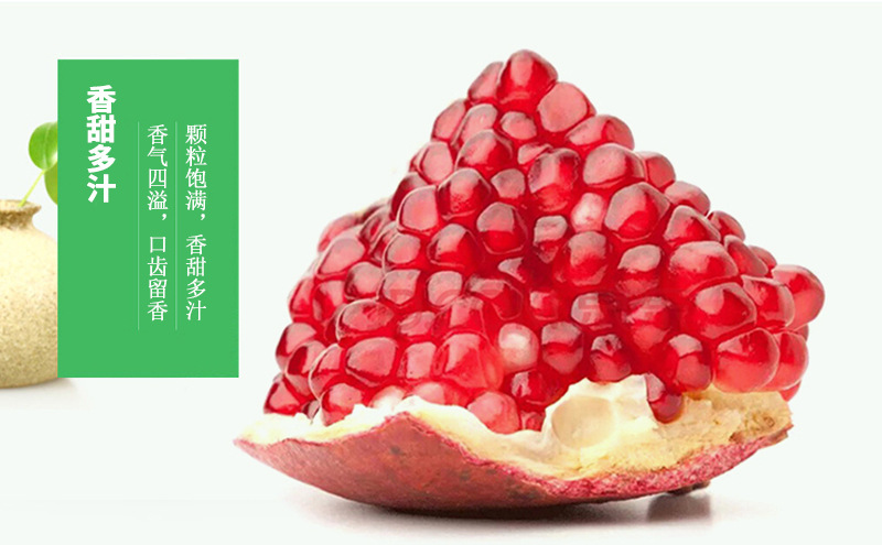 8_副本