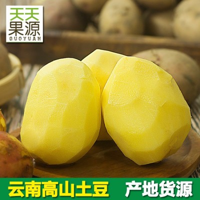 产地直发 云南高山红皮土豆马铃薯9斤装整箱农家现挖洋芋粉糯黄心