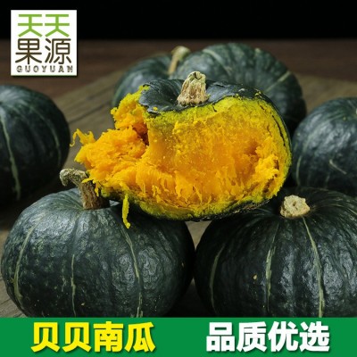 新款贝贝小南瓜9斤装绿皮板栗南瓜香粉面糯甜新鲜蔬果一件代发