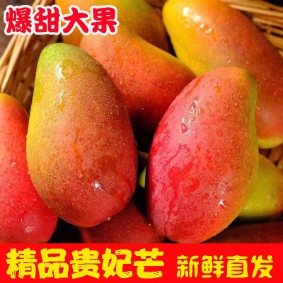 广西百色贵妃芒芒果当季水果现摘现发一件代发