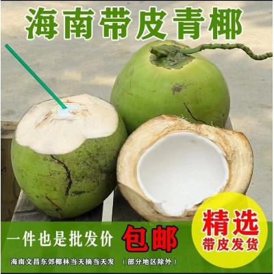 海南椰青新鲜海南椰子3.5-5斤椰子批发厂家现摘现发免邮 整车代发