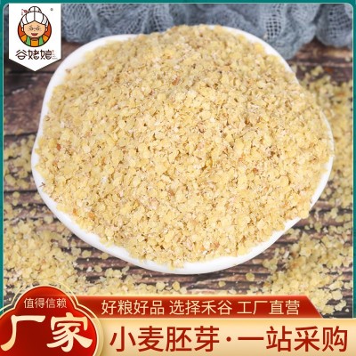 厂家供应熟小麦胚芽片 散装即食五谷杂粮 低温烘焙熟小麦胚芽批发