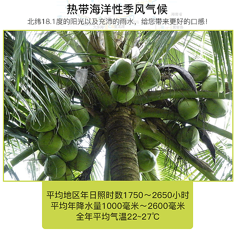 详情-恢复的_08