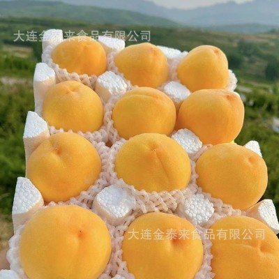 特大果老品种红心黄桃新鲜现摘整箱甜脆桃应季黄桃孕妇水果蜜桃子