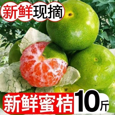 严选新鲜现摘云南青皮橘子蜜桔子应季当季孕妇水果9斤青绿皮蜜橘