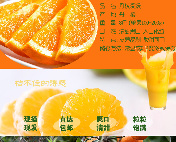 爱媛8_02